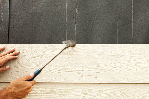 Best Historical Building Siding Restoration  in Huntley, IL